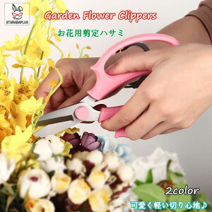 Ԑ؂ ΂ |nT~  t[AWg _ƓEݎ ƒ؉ Ԗ~ ʕ  [ 