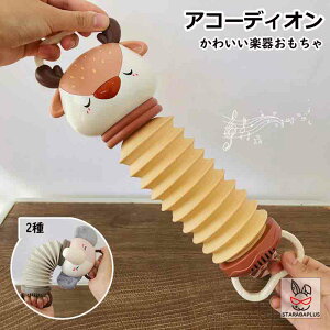 y킨 AR[fBI y c mߋ m炨 Q[ c j̎q ̎q a Mtg v[g NX}X TvCY 