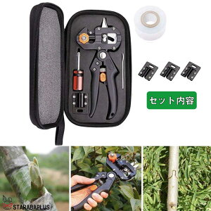 ڂ؃oT~ ͂ ւn pP[Xt nT~  K[f | }؂   