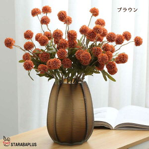 uGg[Ń|Cg10{vtFCNO[ 5{Zbg ͂Ȃ ϗtA  ݂艺 CeA IV p[eB ԗ 