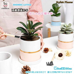 픫 Aؔ  A v^[ ~`  󂯎Mt  A ϗtA@