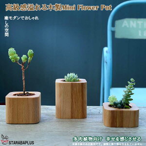 uGg[Ń|Cg10{v~_ ؐ ~j Aؔ 傫TCY v^[  nEX A ϗtA CeA  Bep z[  ̓ 