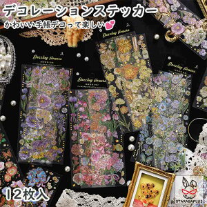 12Zbg 蒠V[ 蒠XebJ[ 킢 fR[VXebJ[ CX^ DIY 蒠̏ g  NVbN 蒠 V[ t fUC fR  [ 