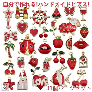 31Zbg nhChsAX p[c nhChCO p[c DIY  sAX 񂽂 킢  SҌ IWisAX  NX}X v[g a Mt