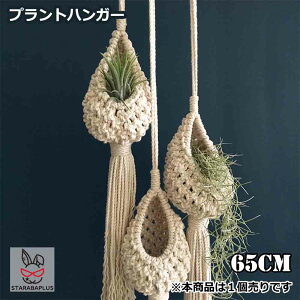 vgnK[ ݂X^h O  A nK[}N ϗtA ݂艺 [v nMOv^[ 65cm  v^[͕tĂ܂