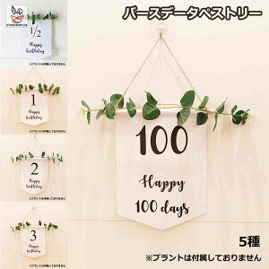 Happy Birthday a^yXg[ nbs[o[Xf[ o[Xf[ a p[eB[  n[to[Xf[ 1/2 100j 100 t xr[ p[eB[ObY 100 1 23 킢 