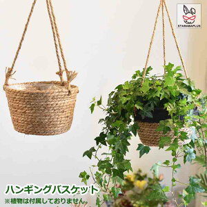 nMOoXPbg ݂蔫 ݂艺 Aؔ nMOv^[ ϗtA Ԕ t[|bg vgnK[ 