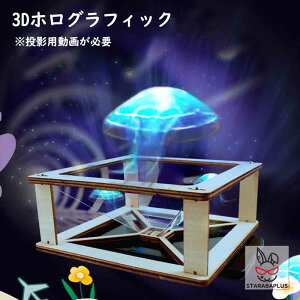 3DzOtBbN epKv fBXvCX 낢 g X}z 