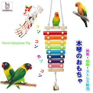 IE CR p  y XY o[hgC ؋  ObY ݉^Cvߋ P[W XgX ^s [ 