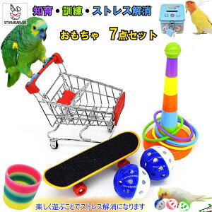 「★エントリーでポイント10倍」7点セット 小鳥 インコ オウム おもちゃスケボー カート 貯金箱 輪投げ ボール ストレス解消 しつけ 訓練 学習 遊び ストレス解消 運動 送料無料