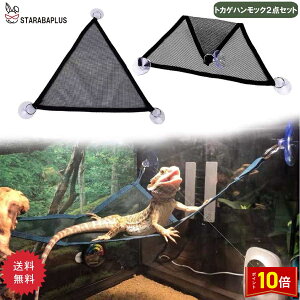 uGg[Ń|Cg10{v঒ gJQ nbN bV 2_Zbg [ 