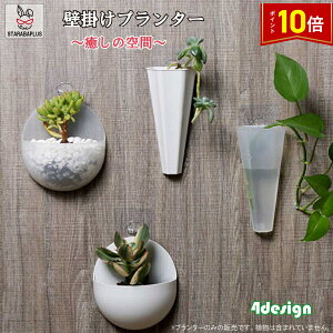 uGg[Ń|Cg10{vǊ| v^[ A@T{e ̓ ~j v^[   