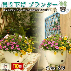 uGg[Ń|Cg10{v݂艺 v^[ ݂X^h  `F[ O  A nK[}N ϗtA ݂艺 