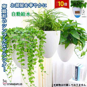 uGg[Ń|Cg10{v^v^[ _ IV Ǌ| ݂艺 _ v^[ nMOoXPbg ϗtA CeA  O  