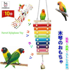 uGg[Ń|Cg10{vIE CR p  y XY o[hgC ؋  ObY ݉^Cvߋ P[W XgX ^s [ 