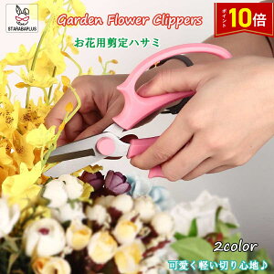 uGg[Ń|Cg10{vԐ؂ ΂ |nT~  t[AWg _ƓEݎ ƒ؉ Ԗ~ ʕ  [ 