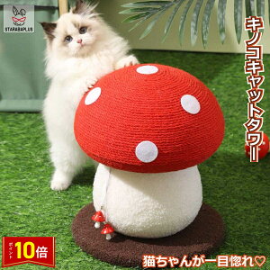 uGg[Ń|Cg10{vLp ܂Ƃ^[ ̂ LmR Lbg^[ VRTCU  CeA ܂Ƃ|[ XgX   