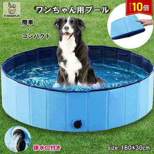 uGg[Ń|Cg10{vybgpoX^u 傫 v[ q oXObY ܂肽 ^ъȒP V AEghA oX^u   ȒPr 