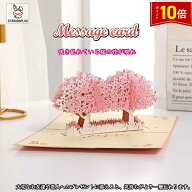 「★ポイント10倍!」桜 グリーティングカード メッセージカード 誕生日カード 春 入学 チェリーブロッサ…