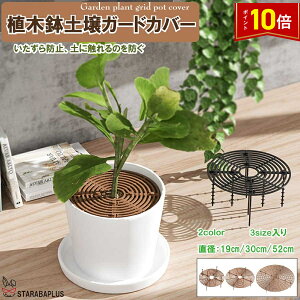 uGg[Ń|Cg10{v3TCYZbg AؔObh K[hJo[ A|bgJo[ ABSvX`bN A t[ veN^[Lbg  L@Xgbp[ 