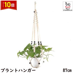 uGg[Ń|Cg10{vvgnK[ ݂X^h O  A nK[}N ϗtA ݂艺 [v nMOv^[  v^[͕tĂ܂