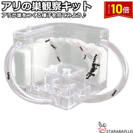 「★3点で20％OFF＆10倍」アリの巣 あり観察キット アリの巣観察キット アリ 巣 観察 飼育ケース 砂 自由研究 小学生 キット あり 蟻 飼育セット 実験セット 観察 工作 男の子 女の子 夏休み 学習用 おもしろ実験 送料無料