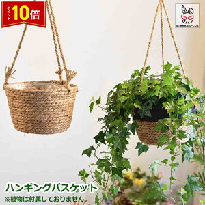 uGg[Ń|Cg10{vnMOoXPbg ݂蔫 ݂艺 Aؔ nMOv^[ ϗtA Ԕ t[|bg vgnK[ 