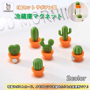 「★エントリーでポイント10倍」6個セット 冷蔵庫マグネット 磁石デザイン サボテン 3D立体 キッチン ホワイトボード ホームデコ メッセージボード 文具 伝言 装飾 メール便 送料無料