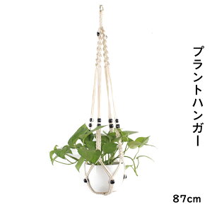 ハンギング プランター 屋外 鉢の人気商品 通販 価格比較 価格 Com ハンギング プランター 屋外 鉢の人気商品 通販 価格比較 価格 Com