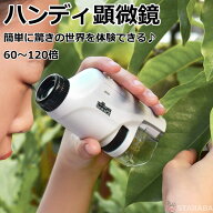 【最大1,500円OFF クーポン】 顕微鏡 子供 ハンディ顕微鏡 60〜120倍 小学生 自由研究 野外観察 趣味 LED…