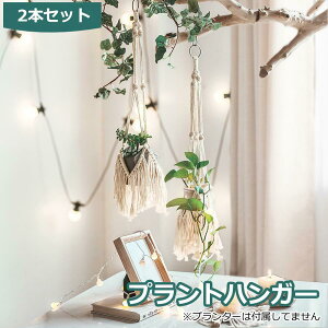 uՌP10{&őP20{ vvgnK[ ݂X^h 2Zbg O  A nK[}N ϗtA ݂艺 [v nMOv^[  v^[͕tĂ