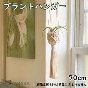 uGg[Ń|Cg10{ vvgnK[ ݂X^h O  A nK[}N ϗtA ݂艺 [v nMOv^[  v^[͕tĂ܂