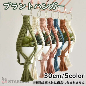 uGg[Ń|Cg10{ vvgnK[ ݂X^h O  A nK[}N ϗtA ݂艺 [v nMOv^[  v^[͕tĂ܂