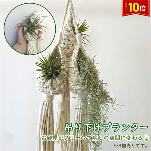 uvGg[I|Cg10{vvgnK[ 3Zbg nMOv^[ {w~A p ݂艺v^[ ϗtA ݂艺 }N [v nhCh i` 