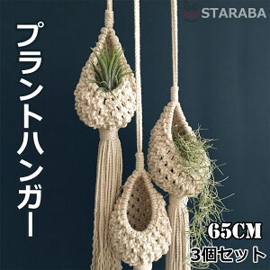 uGg[Ń|Cg10{ vvgnK[ ݂X^h O  A nK[}N ϗtA ݂艺 [v nMOv^[ 65cm 3Zbg  v^[͕t