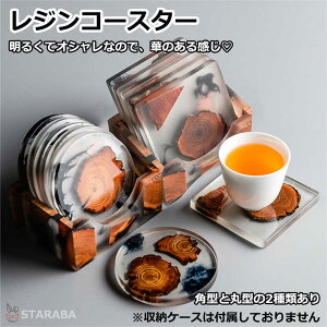 uՌP10{&őP10{v |R[X^[Zbg 2Zbg R[X^[ fUC G|LV ꂢ 킢 qp Mtg v[g  CeAG 