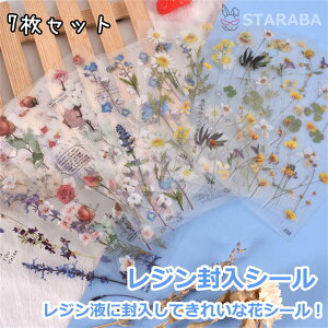 uՌP10{&őP10{v W  V[ Wf CXgV[ tBV[g Wt[p PʃV[ WV[EtB ߍ݃WV[ XebJ[ 