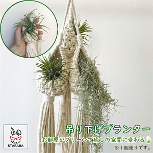 uՌP10{&őP20{ vvgnK[ nMOv^[ {w~A p ݂艺v^[ ϗtA ݂艺 }N [v nhCh i` ҂ 60cm 