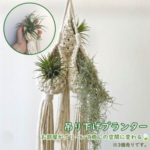 uՌP10{&őP20{ vvgnK[ 3Zbg nMOv^[ {w~A p ݂艺v^[ ϗtA ݂艺 }N [v nhCh i` ҂ 60c