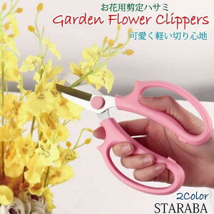 uՌP10{&őP20{ vԐ؂ ΂ |nT~  t[AWg _ƓEݎ ƒ؉ Ԗ~ ʕ  [ 