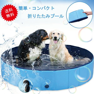 uGg[Ł|Cg10{vybgpoX^u 傫 v[ q oXObY ܂肽 ^ъȒP V AEghA oX^u   ȒPr  yk88-2