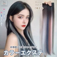 ★ポイント最大20倍★カラーエクステ 2本セット ウィッグ グラデーション インナーカラー ワンタッチ ク…