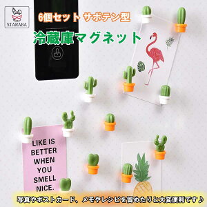 uՌP10{&őP20{ v6Zbg ①Ƀ}Olbg ΃fUC T{e 3D Lb` zCg{[h z[fR bZ[W{[h  `  [ 