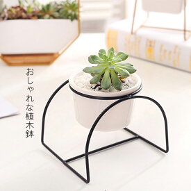楽天市場 寄せ植え 鉢 植木鉢 植木鉢 プランター ガーデニング 農業 花 ガーデン Diyの通販