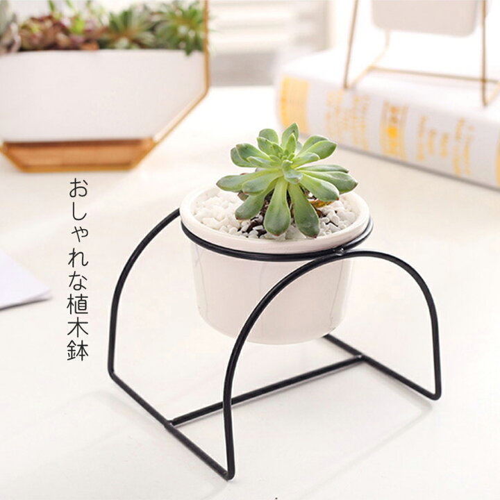 楽天市場 大還元クーポン 小さめ植木鉢 多肉植物の寄せ植え鉢 多肉植物 サボテン ミニ プランター 陶器 観葉植物 多肉植物 セダム サボテン おしゃれ 可愛い 寄せ植え ガーデニング 室内 インテリア雑貨 Staraba 楽天市場 大還元クーポン 小さめ植木鉢 多肉植物の寄せ植え鉢 多肉植物 サボテン ミニ プランター 陶器 観葉植物 多肉植物 セダム サボテン おしゃれ 可愛い 寄せ植え ガーデニング 室内 インテリア雑貨 Staraba