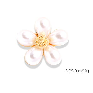 uGg[Ń|Cg10{ vu[`  킢  ANZT[ su[`   XqobÕANZg Xg[ }t[ l w  \ 