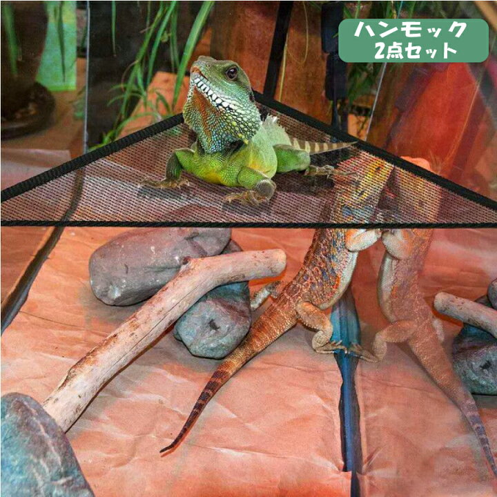大還元クーポン 配布中 爬虫類 トカゲ ハンモック メッシュ 2点セット クリックポスト 送料無料 STARABA 限定1個*フトアゴ フトアゴヒゲトカゲ ハンモック 爬虫類 小動物 ハンドメイド