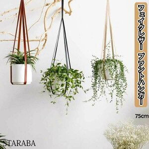 観葉植物 吊り下げ その他の農業資材 ガーデニング用品の人気商品 通販 価格比較 価格 Com