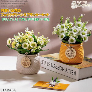 uvGg[|Cg10{ vtFCNO[  v^[ Aؔ  ϗtA CeA 