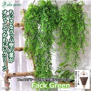 uvGg[I|Cg10{vԃO[ tFCNO[ bNt CeA AeB[N lH tFCN Ǌ| A  p[eB[  z[ ItBX JtF 